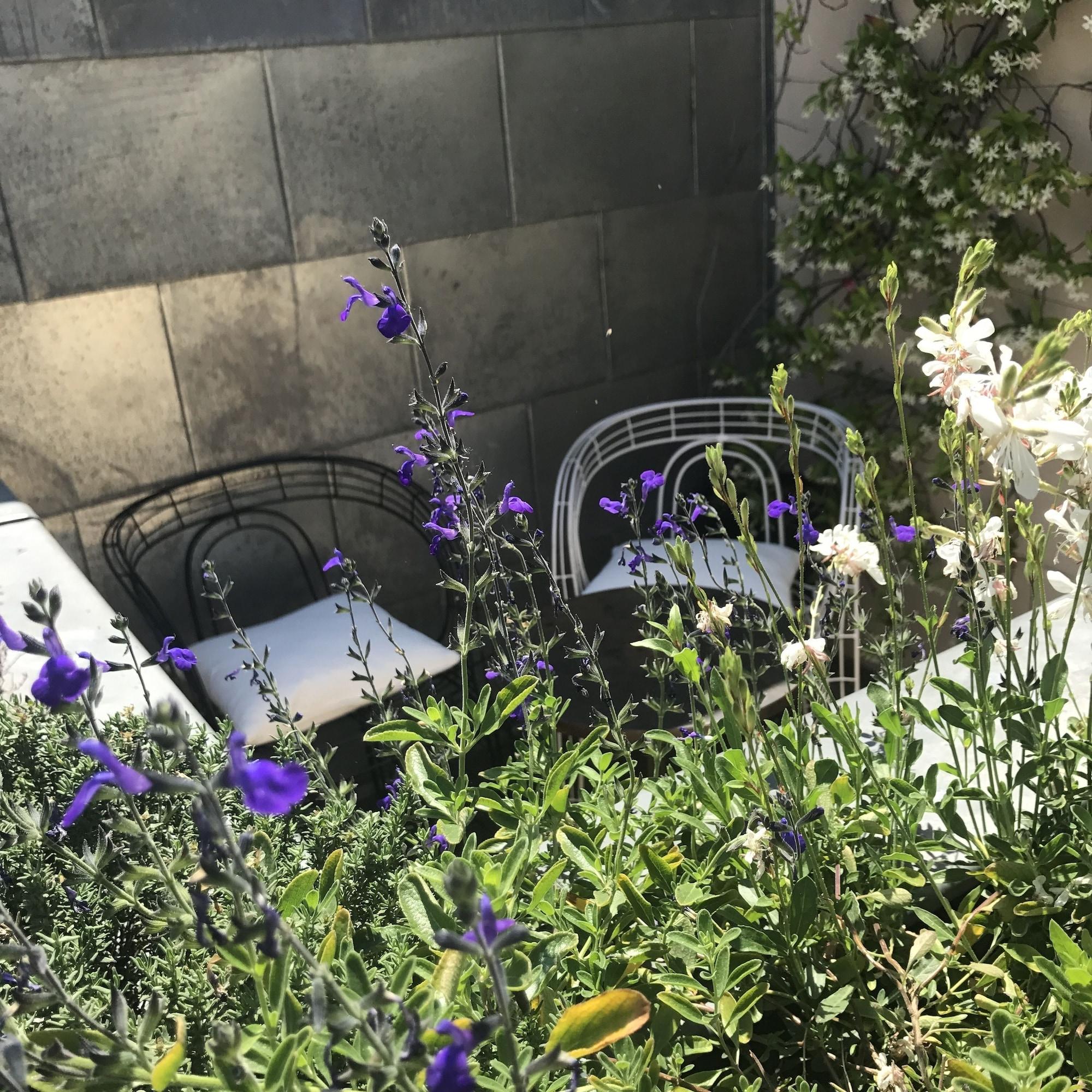 Hotel Recamier Paris Bagian luar foto