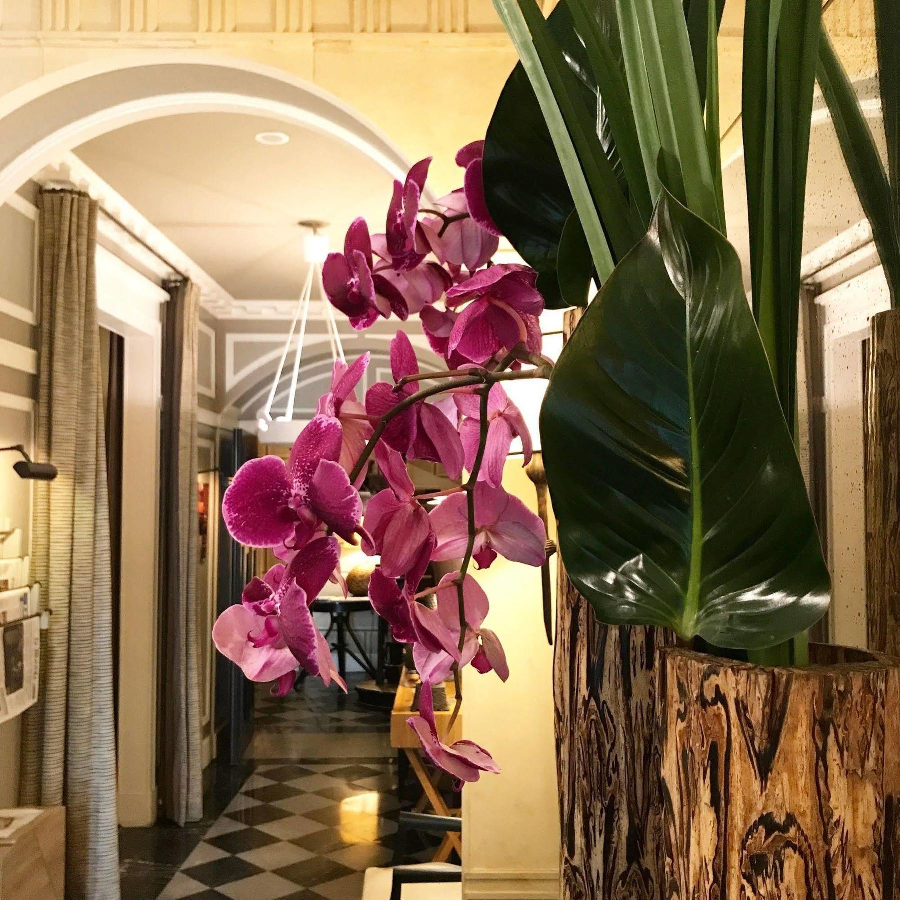 Hotel Recamier Paris Bagian luar foto